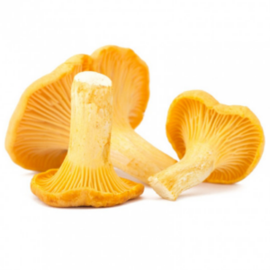 GIROLLES WILD FROZEN (500g)