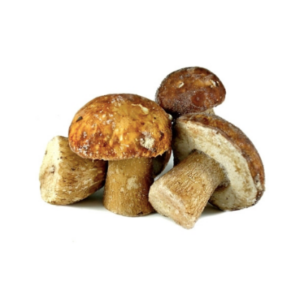 PORCINI (500g)