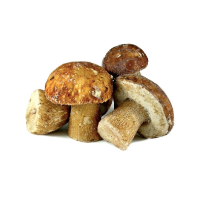 PORCINI (500g)