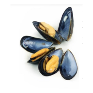 MUSSEL CHILE FROZEN (1kg)
