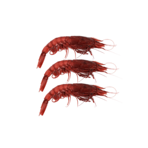 RED PRAWNS MAZARA (SIZE XXL) 18-20pcs (900g)