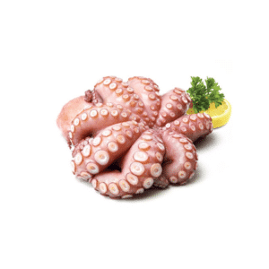 whole octopus