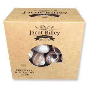 LARGE EMPTY SNAIL SHELLS  (60 pcs)