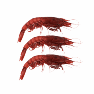 RED PRAWNS MAZARA (SIZE XL) 27-30pcs (900g)